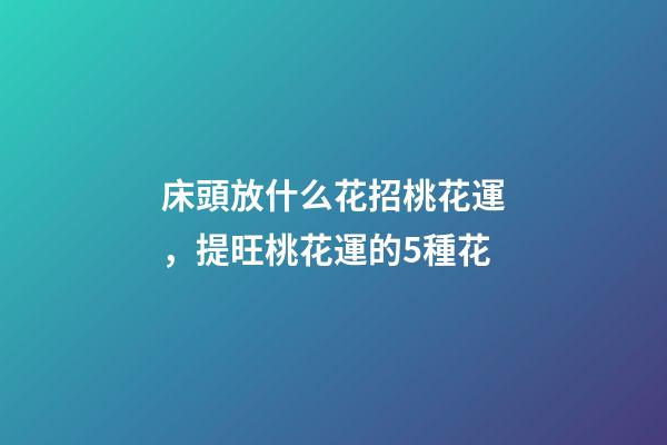 床頭放什么花招桃花運，提旺桃花運的5種花